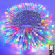 Colorful - 200LED/66FT