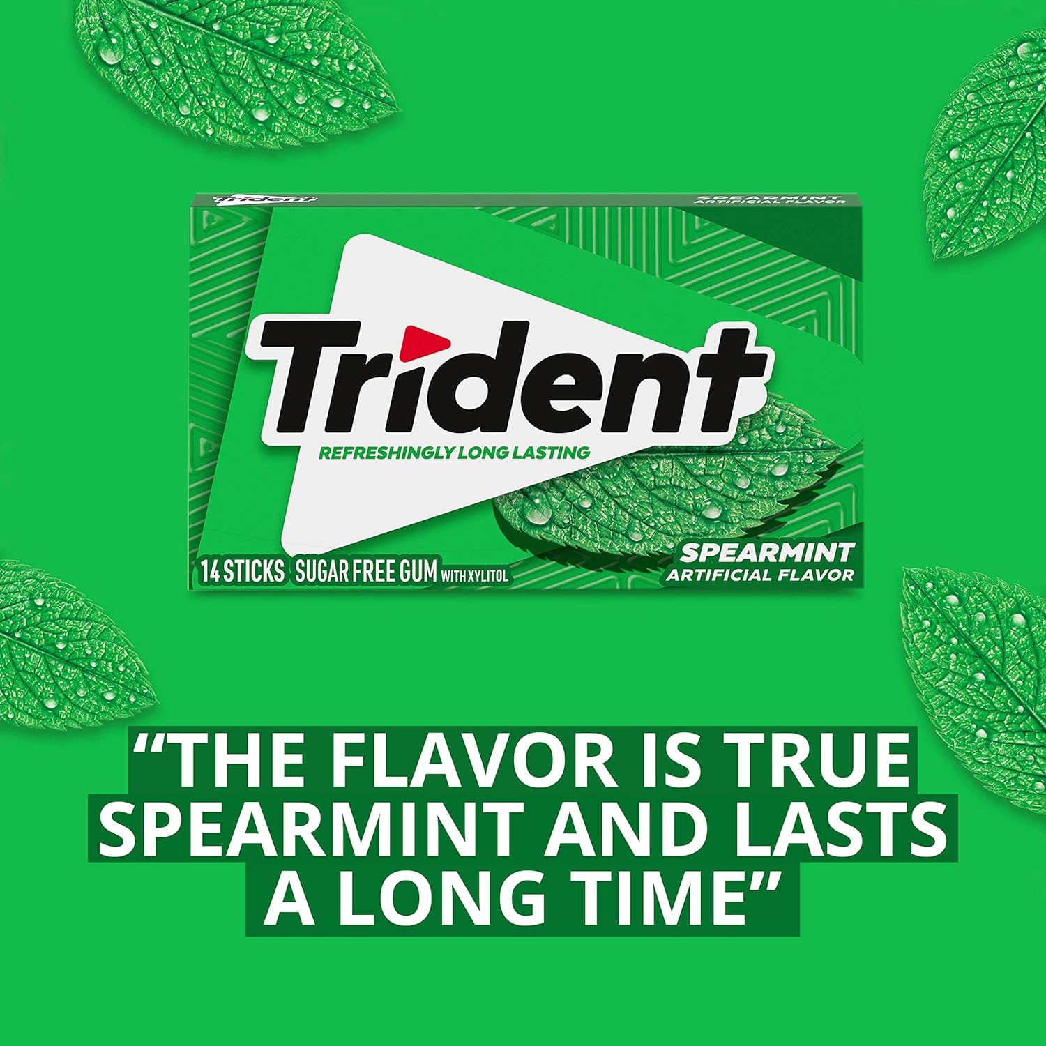 Trident_Spearmint_Sugar-Free_Chewing_Gum,_Bulk,_24_Packs_of_14_Pieces_(336_Total_Pieces)