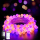 Orange and Purple - 100 LED Plug