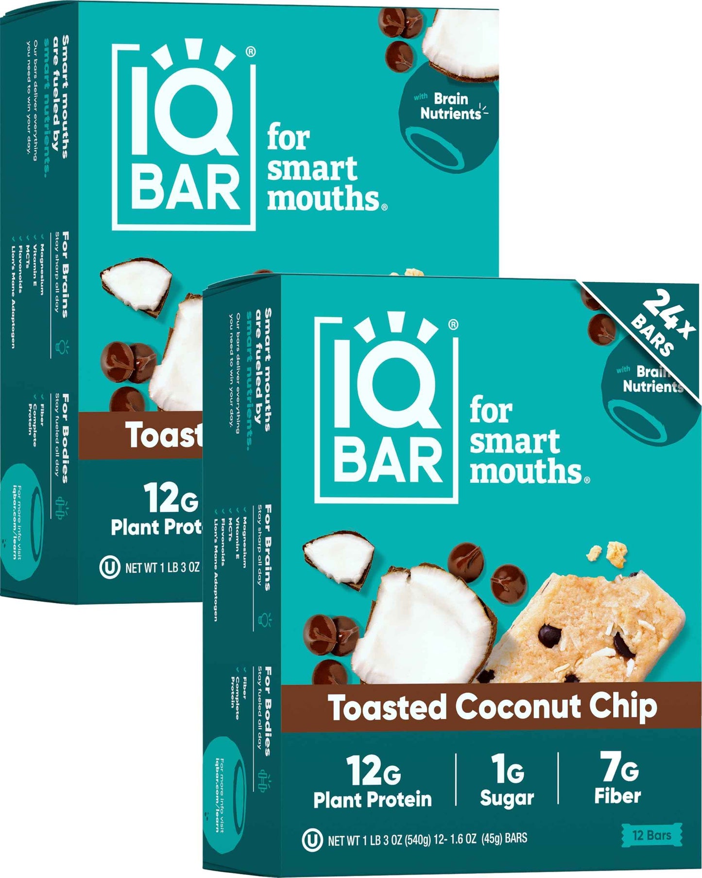 IQBAR Clean Plant Protein Bars - Keto, Vegan, High Fiber, Gluten and Dairy Free, Low Sugar Snack - Brain and Body Nutrients for Focus, Energy, Meal Replacement