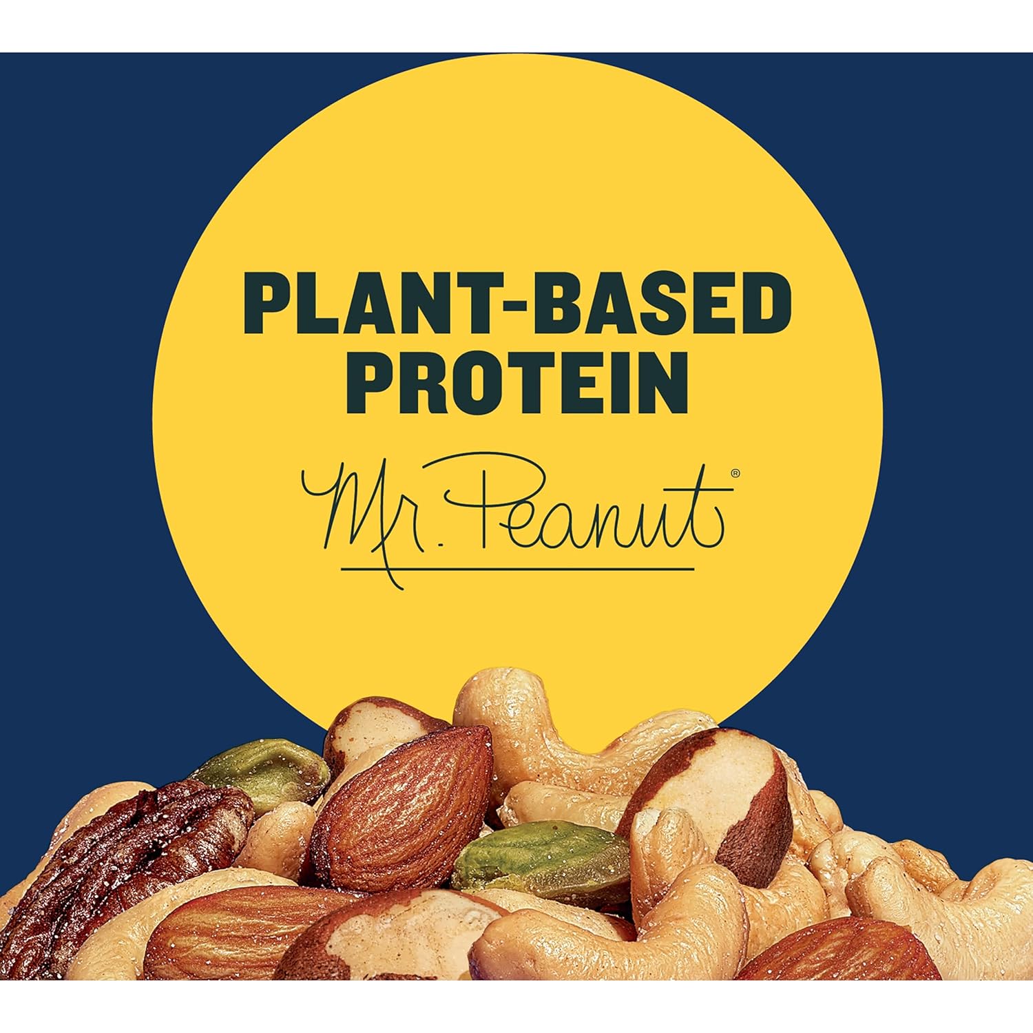 PLANTERS_Deluxe_Mixed_Nuts_-_Roasted_Cashews,_Almonds,_Brazil_Nuts,_Pistachios,_and_Pecans,_Plant-Based_Protein,_Quick_Snack,_15.25oz_Canister