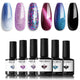 A A5 Cat Eye Special Gel