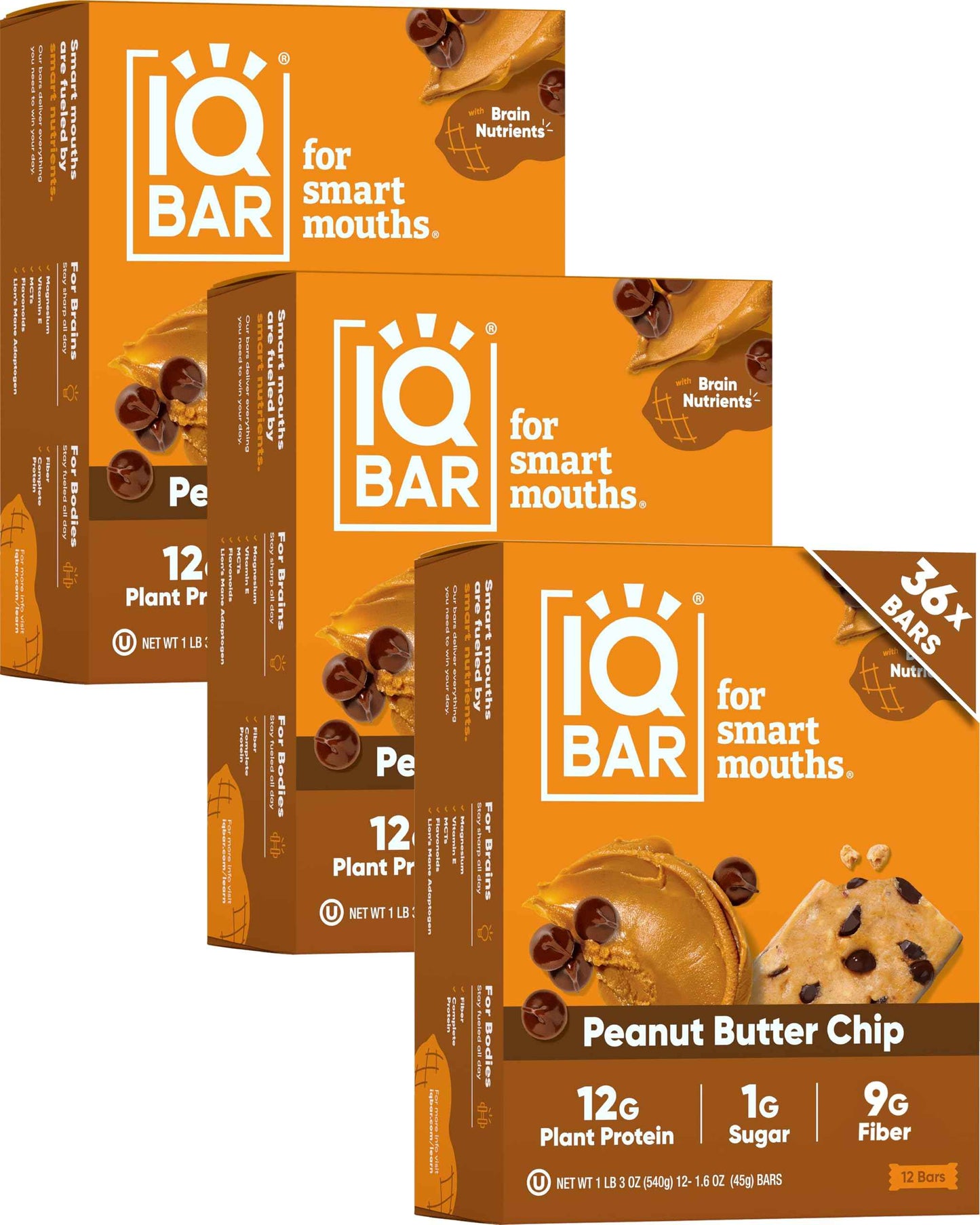 IQBAR Clean Plant Protein Bars - Keto, Vegan, High Fiber, Gluten and Dairy Free, Low Sugar Snack - Brain and Body Nutrients for Focus, Energy, Meal Replacement