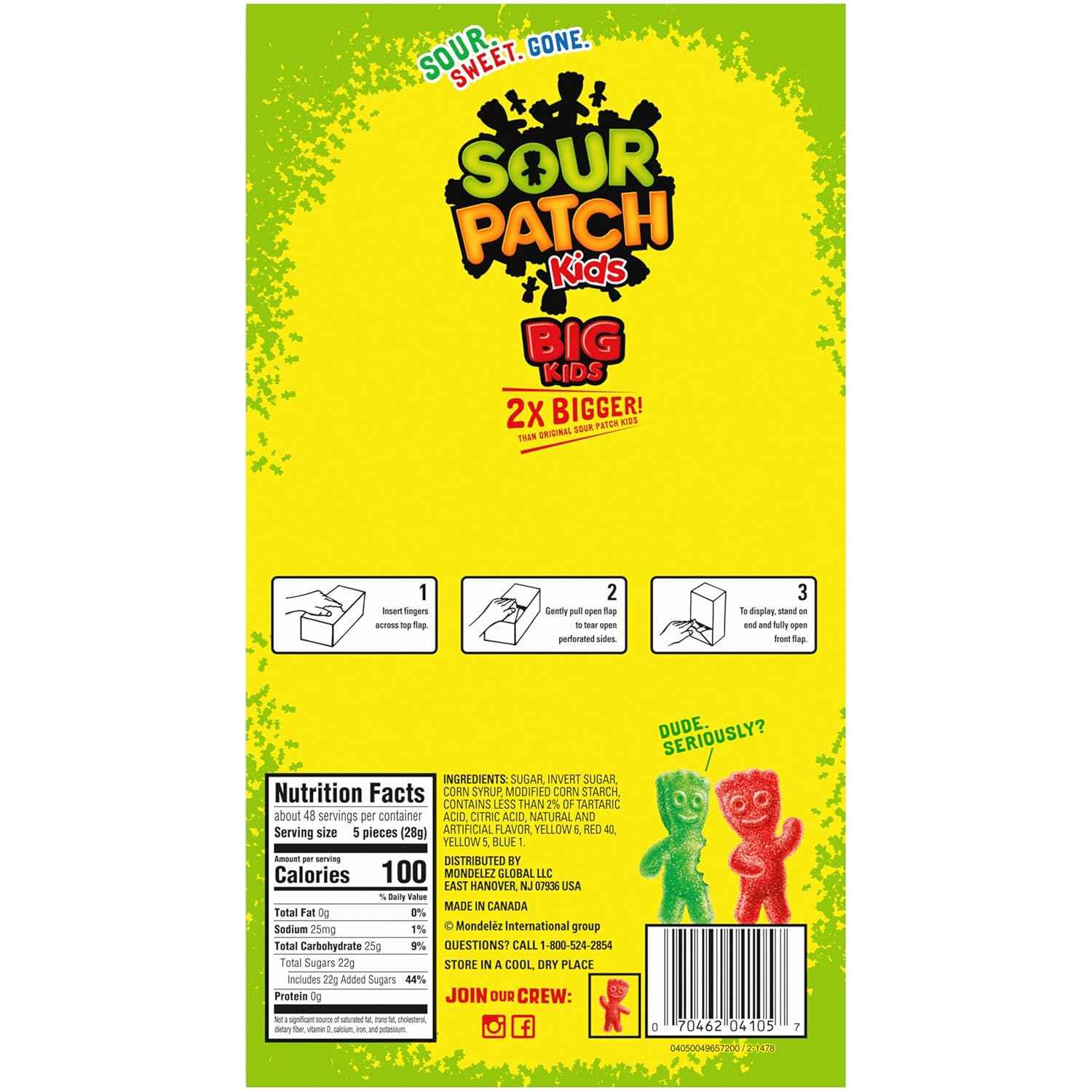 SOUR PATCH KIDS Big Kids Individually Wrapped Soft & Chewy Candy, Bulk Candy, Easter Candy, 240 Count Box
