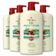 Fiji with Palm Tree - 25 Fl Oz (Pack of 4)