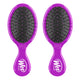 Purple - 2 Count (Pack of 1)