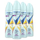 Sexy Intrigue - 3.8 Ounce (Pack of 4)