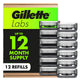 12 Count (Pack of 1)