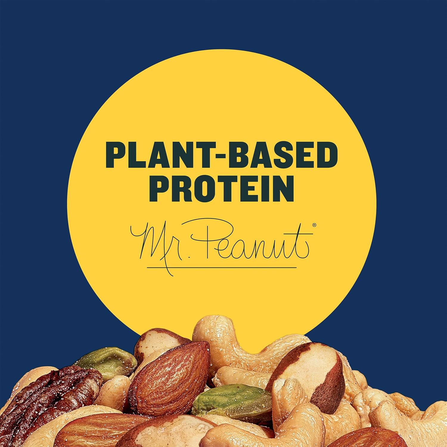 PLANTERS_Pistachio_Nuts_Lovers_Nut_Mix_with_Pistachios_no_shell,_Almonds_&_Cashews,_Party_Snacks,_Plant-Based_Protein,_After_School_Snack,_Bulk_Nuts,_Kosher_1lb_2.5oz