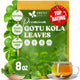 Gotu Kola - 8oz