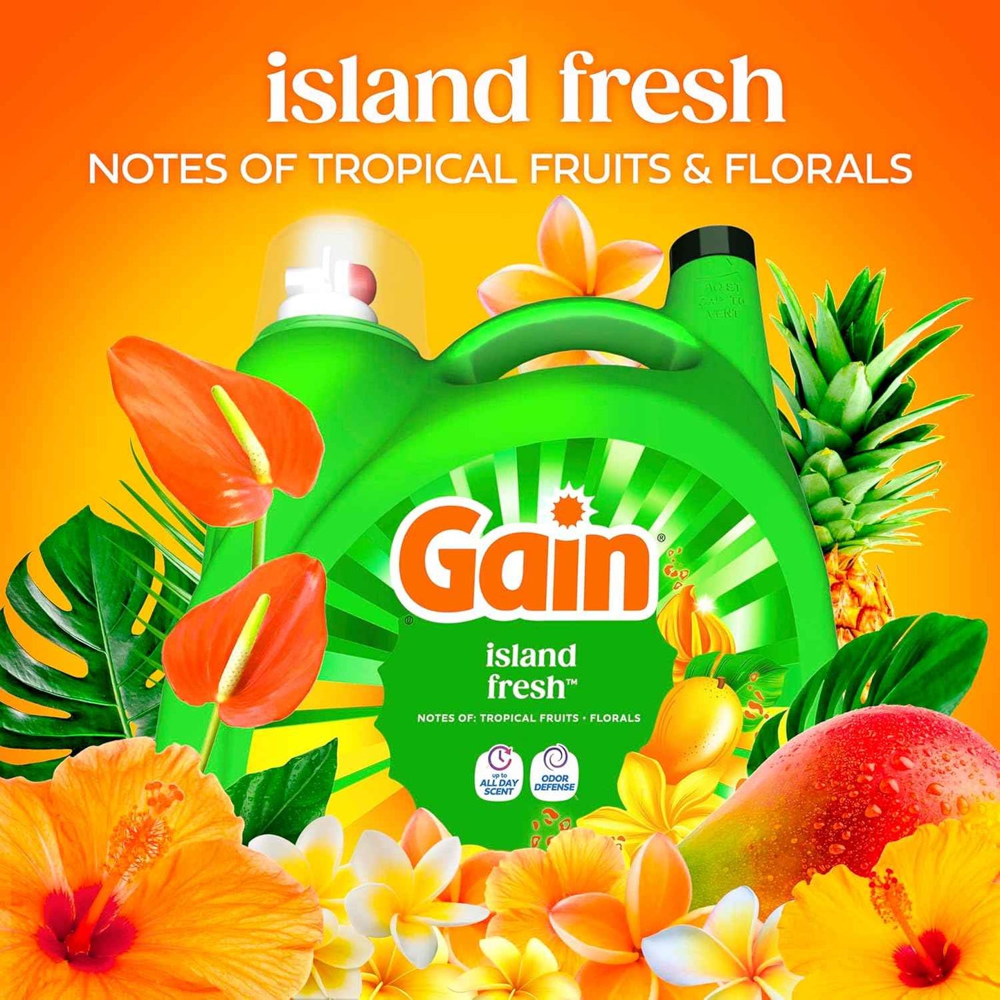 Gain Liquid Laundry Detergent with Odor Defense, Island Fresh Scent, Laundry Soap For HE Washing Machines, 154 fl oz, 107 Loads (Packaging May Vary)