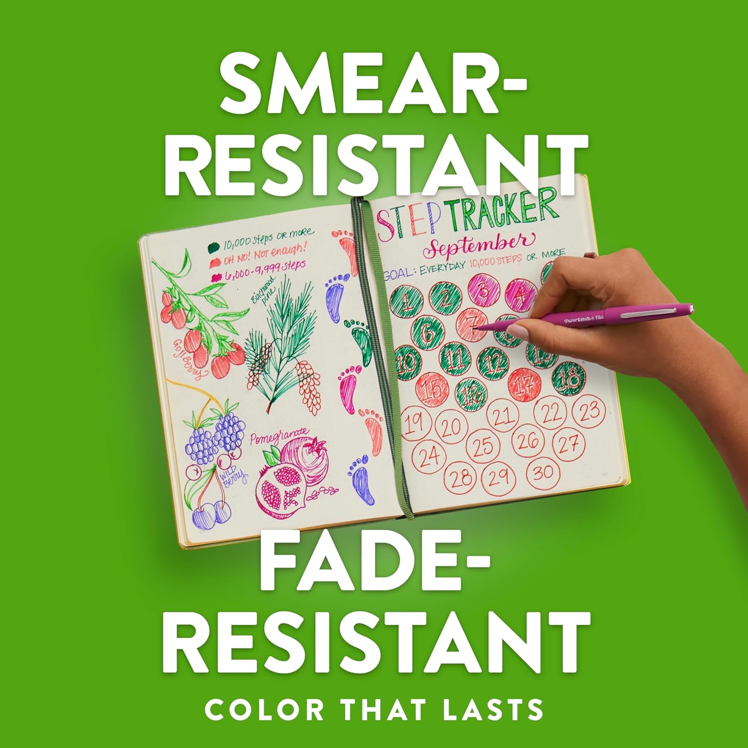 Paper_Mate_Flair_Point-Guard_Porous_Point_Pens_12_Green_Pens_(8440152)