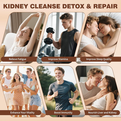 Kidney_Tea_Formula_Ginseng_Six_Treasure_Tea,_Ginseng_&_Mulberry_Herbal_Tea,_Kidney_Cleanse_Detox_&_Repair,_Traditional_Chinese_Herbal_Tea_Bags,_Five_Treasures_Teas_For_Men_Women_(30_Bags/1_Pack)