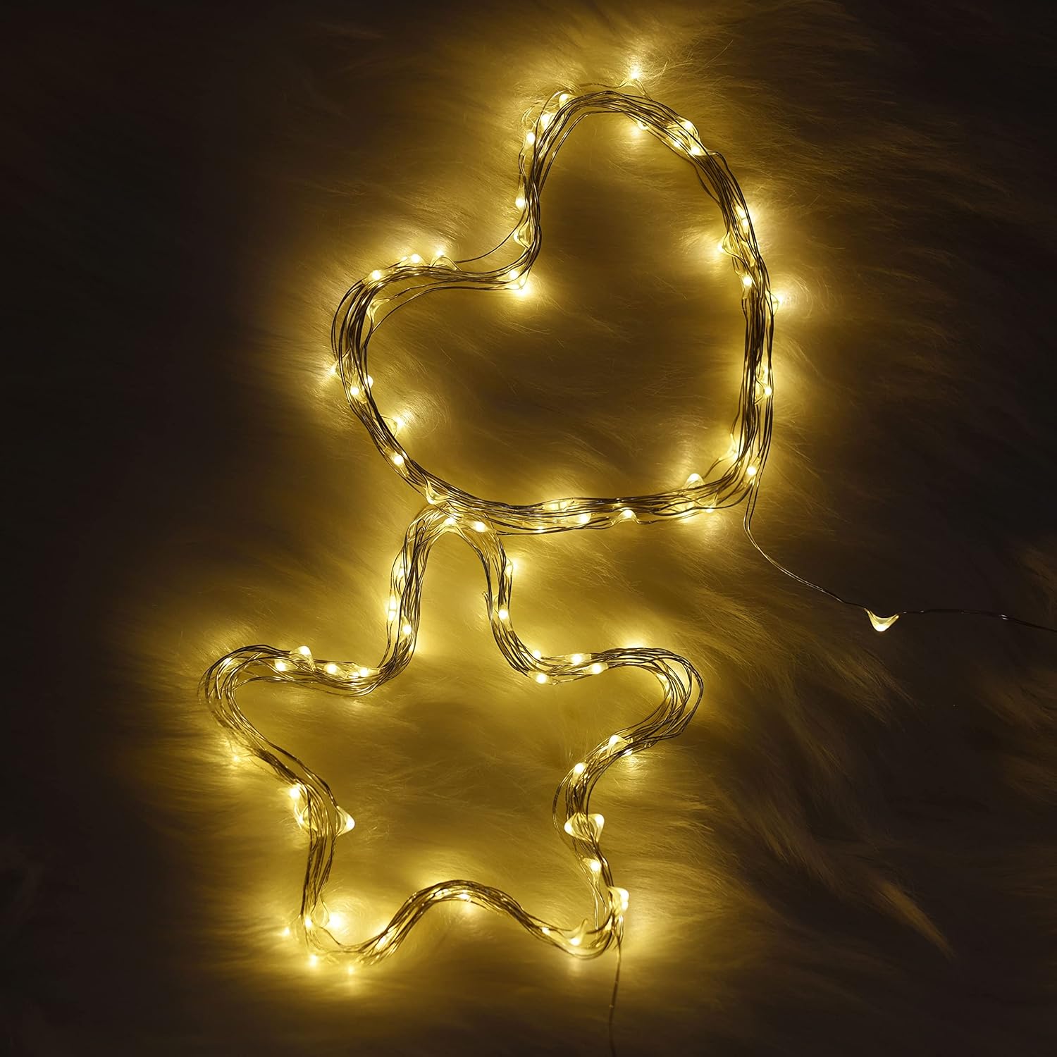 Karlling_USB_Plug_In_LED_Fairy_Lights,50_LED_Bulbs_16_Ft_Silver_Wire_Waterproof_Starry_String_Lights_for_Bedroom_Patio_Garden_Party_Wedding_Commercial_Lighting_(Warm_White)