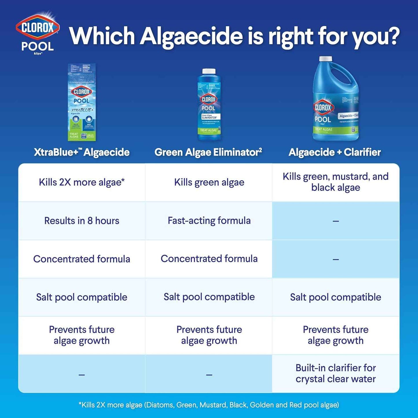 Clorox® Pool&Spa™ Swimming Pool Algaecide and Clarifier, Prevents and Treats Pool Algae, Clears Water, 128 Fl Oz (Pack of 1)
