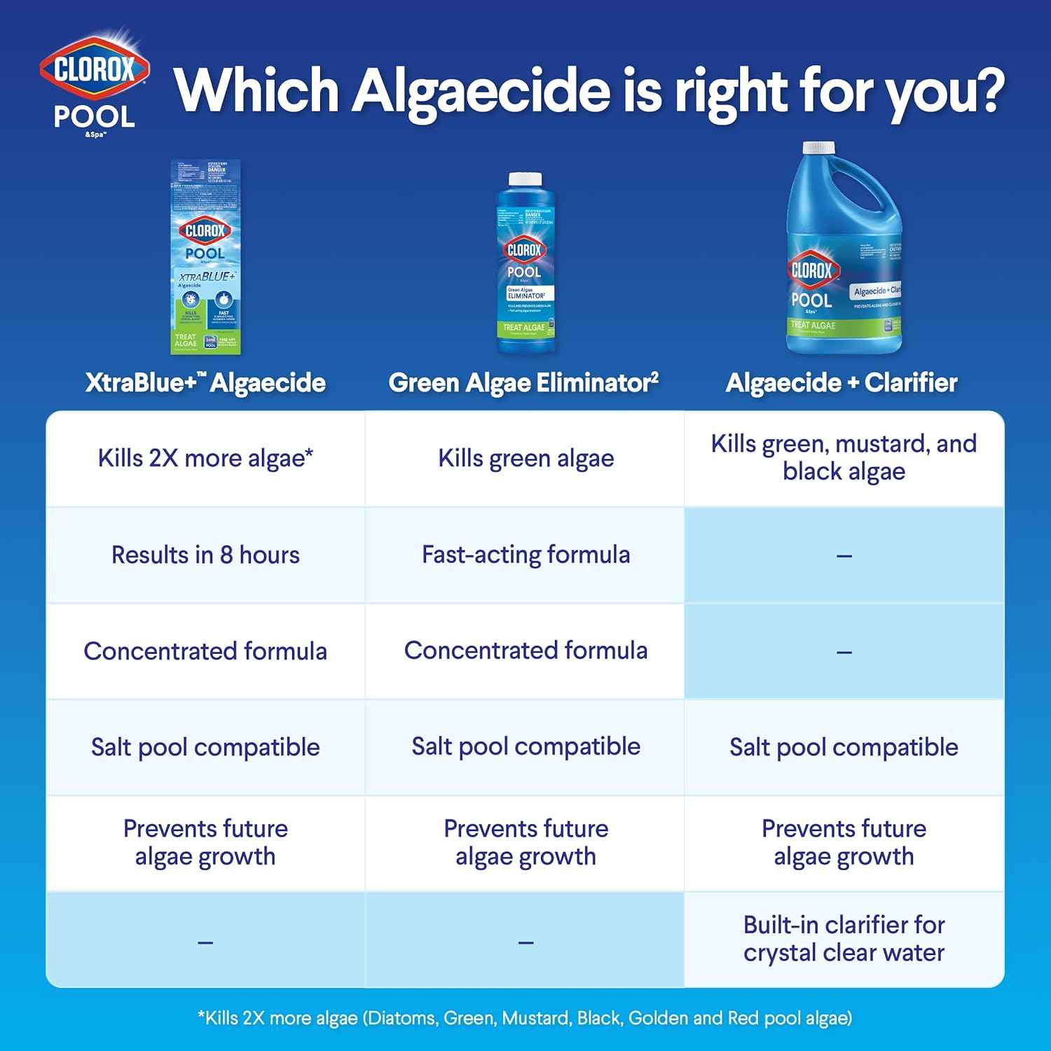 Clorox® Pool&Spa™ Swimming Pool Algaecide, Prevents and Treats Pool Algae, Non-Foaming