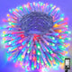 Multicolor - 300LED/100FT