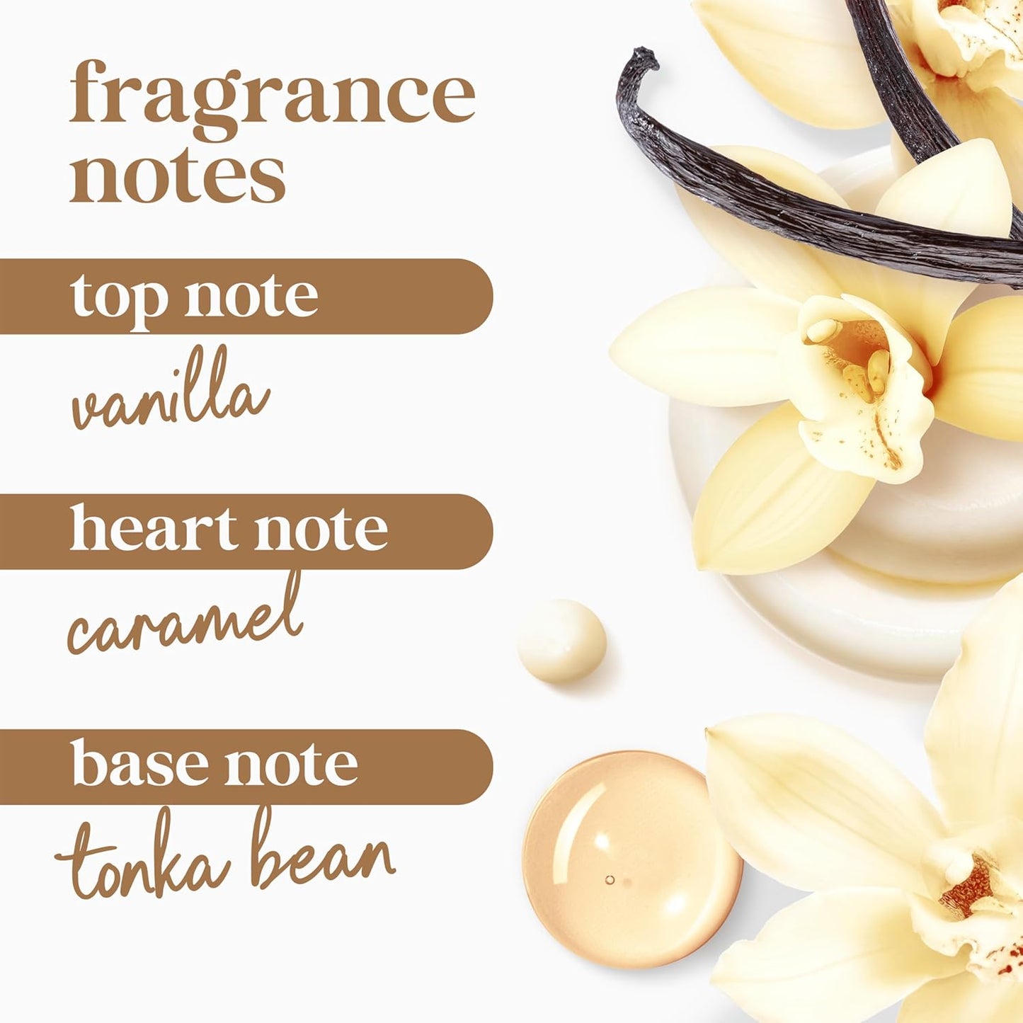 Dove_Indulge_Body_Wash_Warm_Vanilla_+_Sweet_Cream_for_Hydrated_&_Soft_Skin_20_FO