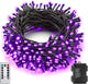 Purple - 100LED