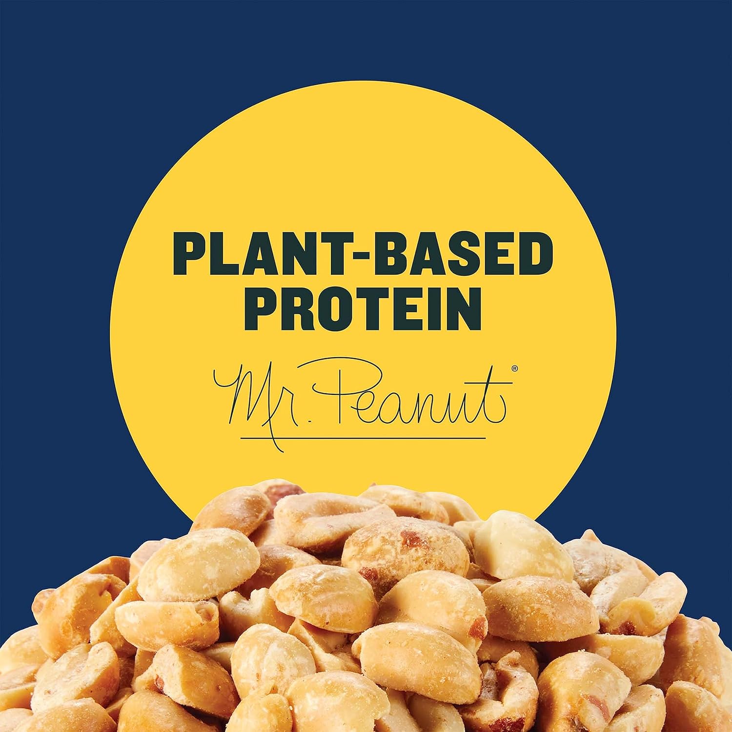 PLANTERS_Salted_Peanuts,_2.5_oz,_15-Pack,_Snack_Nuts