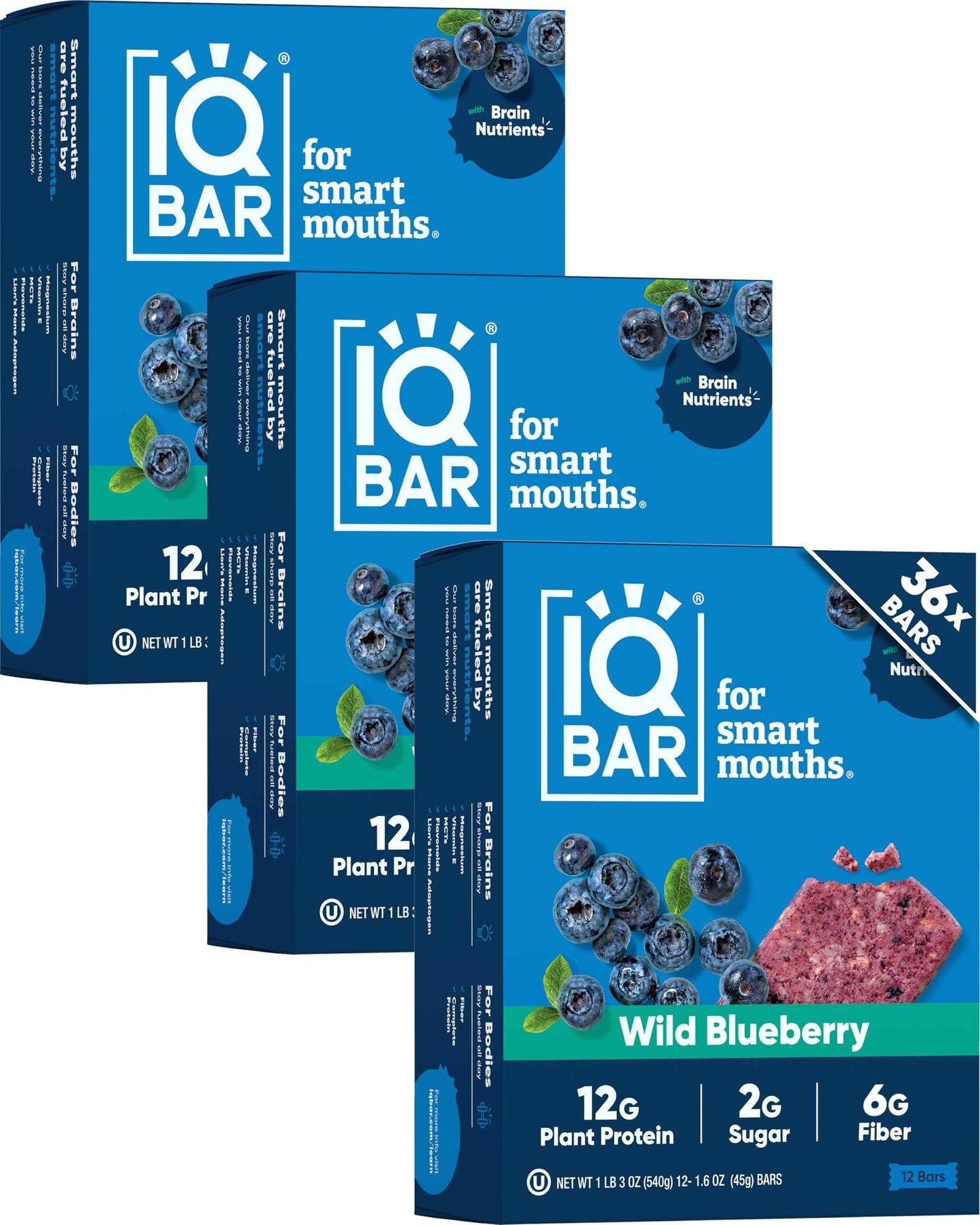 IQBAR Clean Plant Protein Bars - Keto, Vegan, High Fiber, Gluten and Dairy Free, Low Sugar Snack - Brain and Body Nutrients for Focus, Energy, Meal Replacement