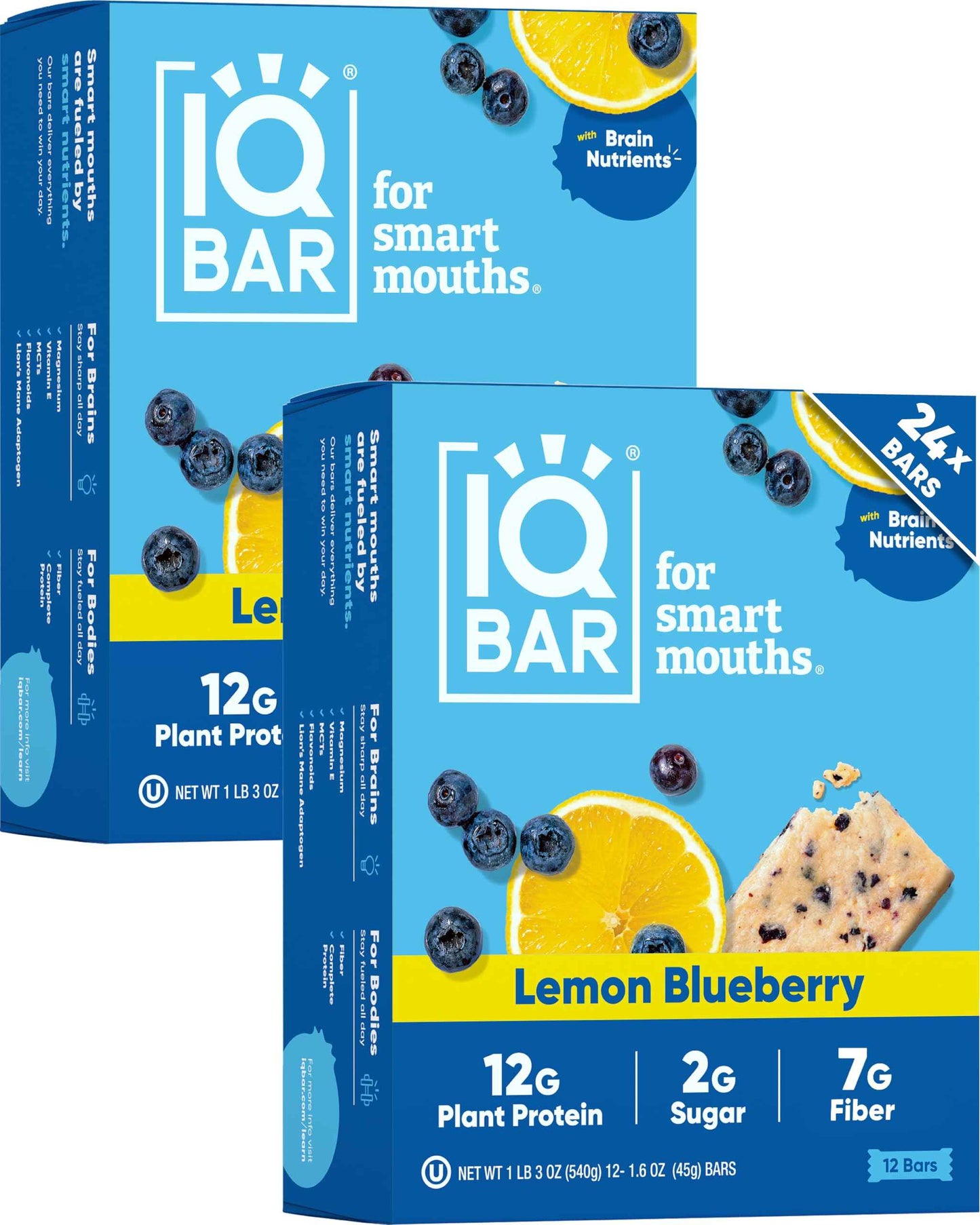 IQBAR Clean Plant Protein Bars - Keto, Vegan, High Fiber, Gluten and Dairy Free, Low Sugar Snack - Brain and Body Nutrients for Focus, Energy, Meal Replacement