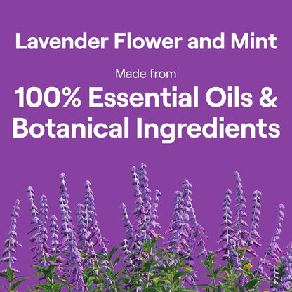 Seventh_Generation_Dish_Soap_Liquid_Lavender_Flower_&_Mint_Scent_Pack_of_6_Dishwashing_Soap_Dish_Detergent_Liquid_Soap_19_oz