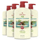 Fiji with Palm Tree - 30 Fl Oz (Pack of 4)