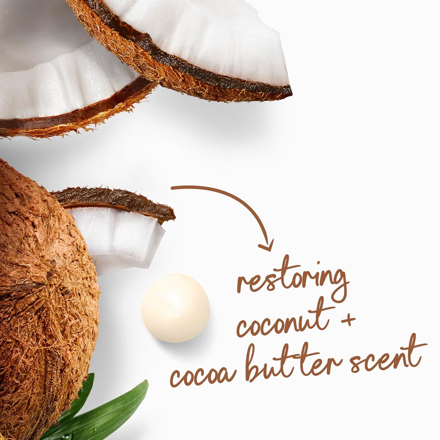 Dove_Body_Wash_with_Pump_Restore_Coconut_&_Cocoa_Butter_for_24hr_Lotion-Soft_Skin_Moisturizing_Skin_Cleanser_with_No_Sulfates_No_Parabens_30.6_Oz