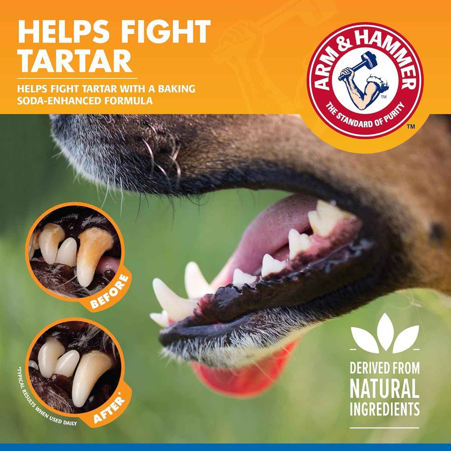 Arm & Hammer Clinical Care Dental Rinse for Adult Dogs, Odorless Flavorless Water Additive for Daily Plaque, Tartar, and Bad Breath Control, Baking Soda Enhanced Formula, 16 Fl Oz