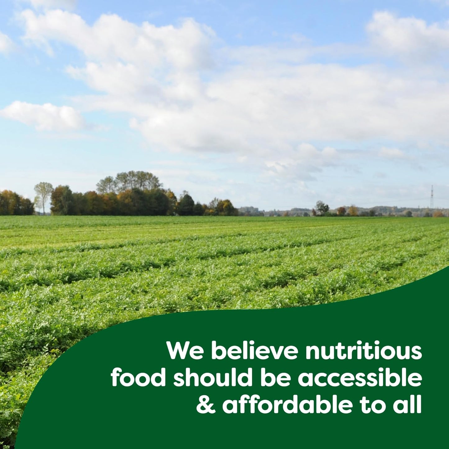 Knorr_Sauce_Mix_Pesto_Pasta_Sauce_For_Simple_Meals_and_Sides_No_Artificial_Flavors,_No_Added_MSG_0.5_oz