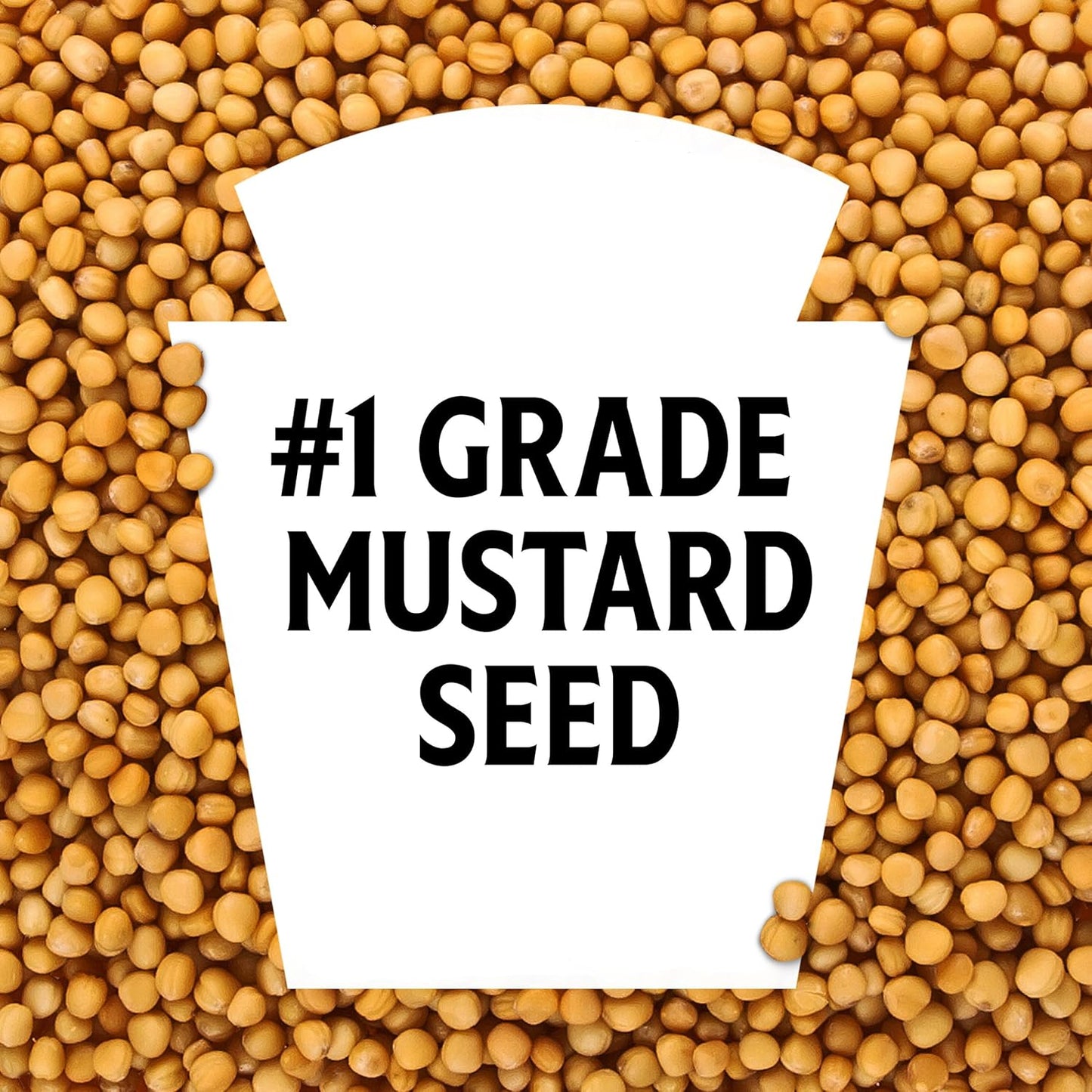 Heinz_Yellow_Mustard,_20_oz_Bottle