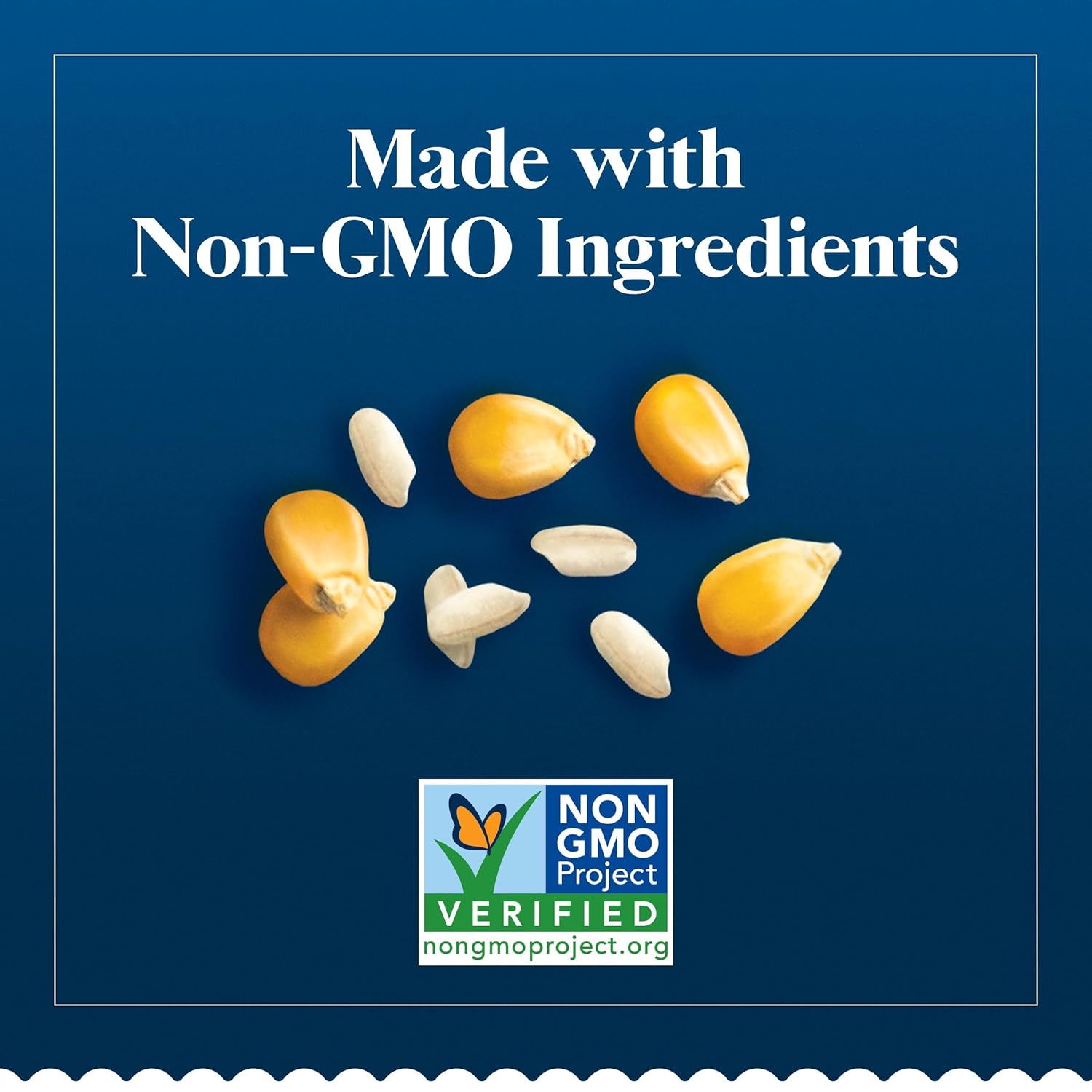 BARILLA_Gluten_Free_Rotini_Pasta,_12_Ounce_-_Non-GMO_Gluten_Free_Pasta_Made_with_2_Ingredients