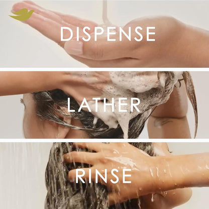 Dove_Shampoo_Argan_Oil_&_Repair_for_Fine_Hair_with_Bio-Protein_Care_Technology_and_Argan_Oil_Blend_12_Fl_Oz