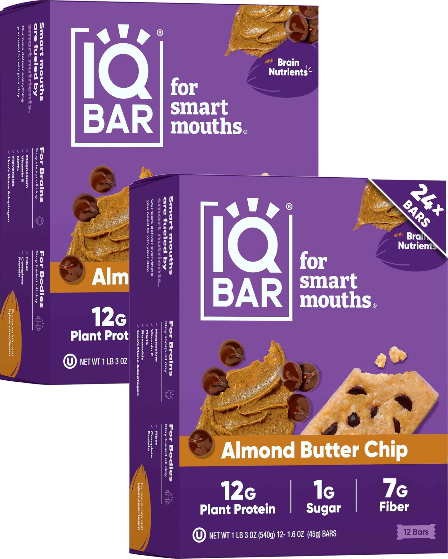 IQBAR Clean Plant Protein Bars - Keto, Vegan, High Fiber, Gluten and Dairy Free, Low Sugar Snack - Brain and Body Nutrients for Focus, Energy, Meal Replacement