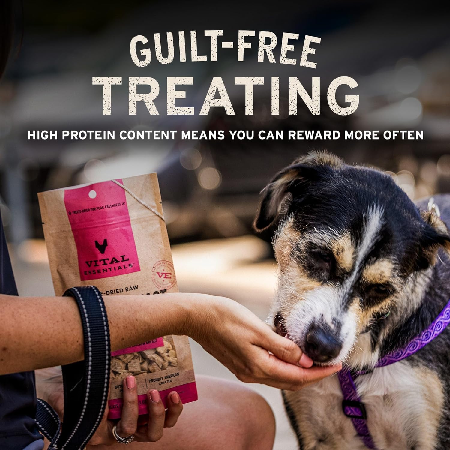 Vital_Essentials_Freeze_Dried_Dog_Treats_|_Beef_Liver,_Single_Ingredient_|_Premium_Quality_|_Grain_Free_Training_Treats_for_Dogs,_2.1_oz_Bag