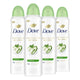 15.2 Ounce (Pack of 1) - Cool Essentials