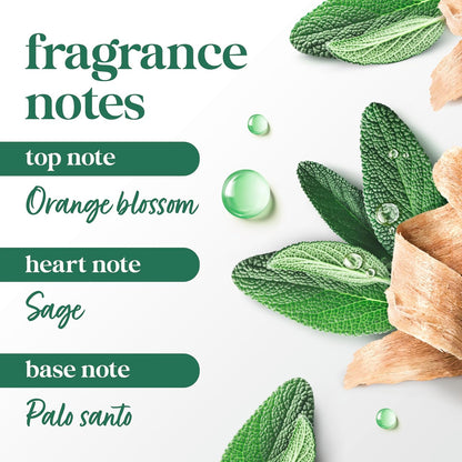 Dove_Dry_Spray_Palo_Santo_&_Sage_for_72-hour_sweat_and_odor_protection_Alcohol_Free_3.8_oz
