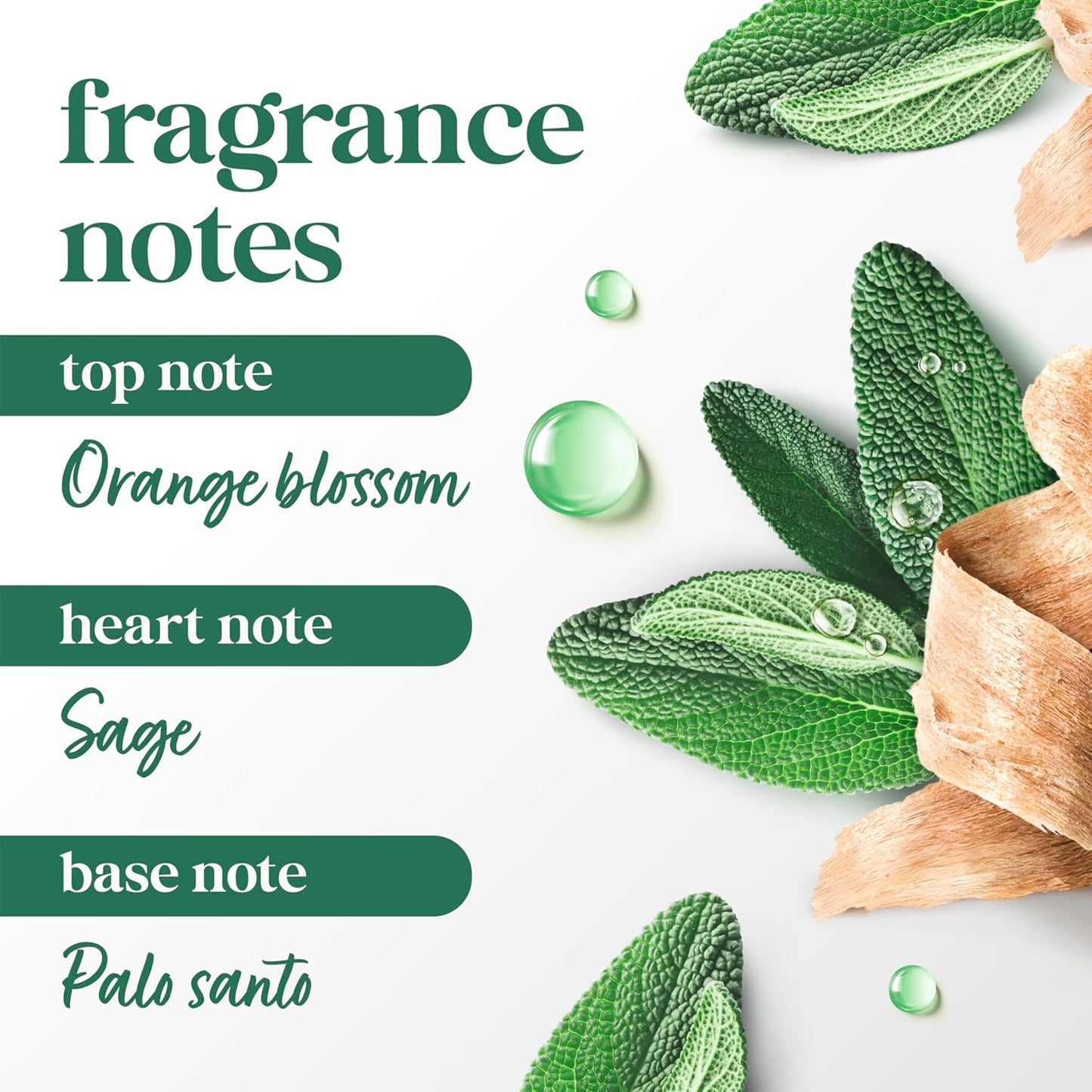 Dove_Palo_Santo_&_Sage_Antiperspirant_Stick_–_72H_Sweat_&_Odor_Protection,_Pro‑Ceramide_Technology,_Alcohol‑Free,_FIFA_Limited_Edition_Design,_2.6_oz
