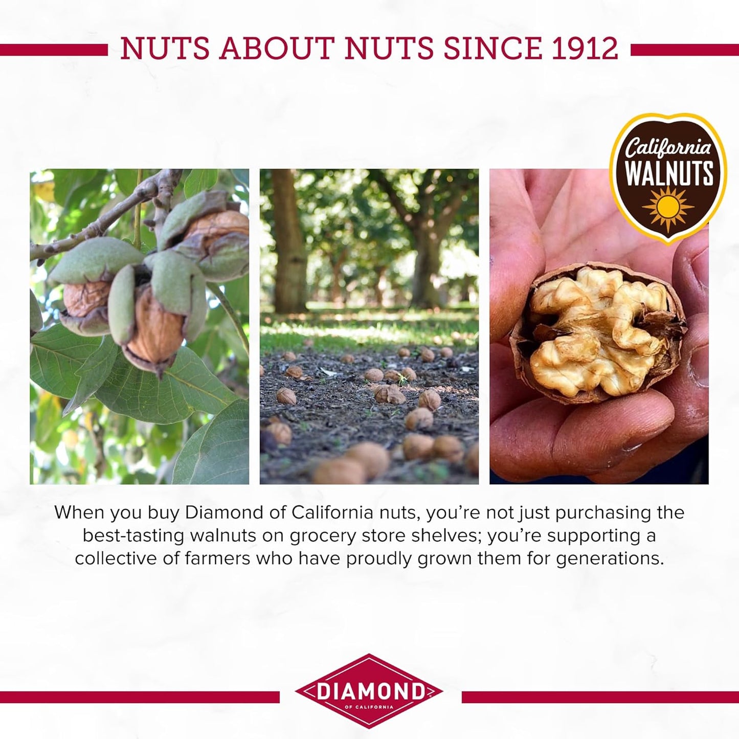 Diamond_of_California_Pumpkin_Pie_Spice_Walnuts_4_oz