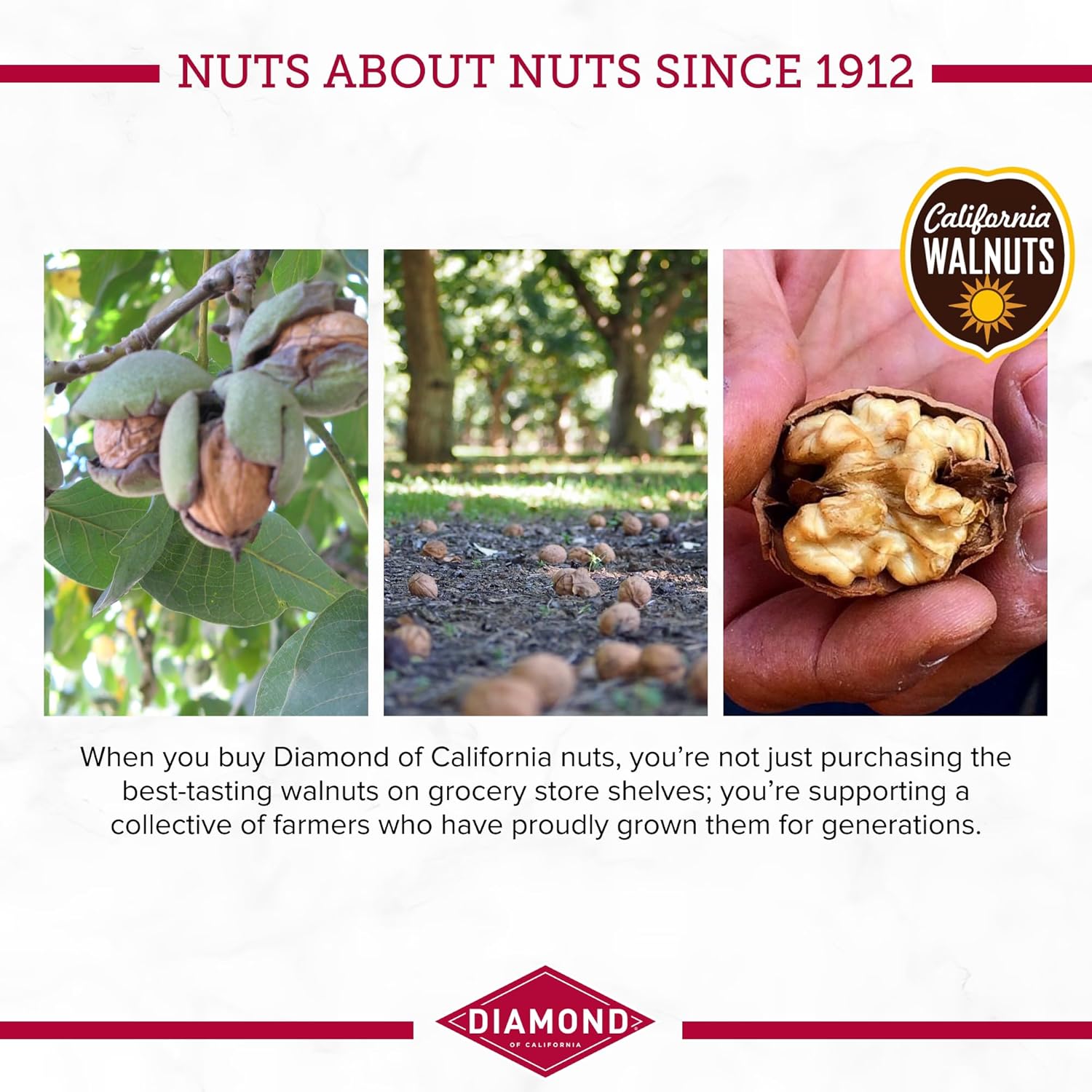 Diamond_of_California_Shelled_Walnuts_16_oz