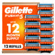 12 Count (Pack of 1)