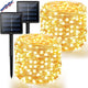 Warm White - 2 Pack(100LED)