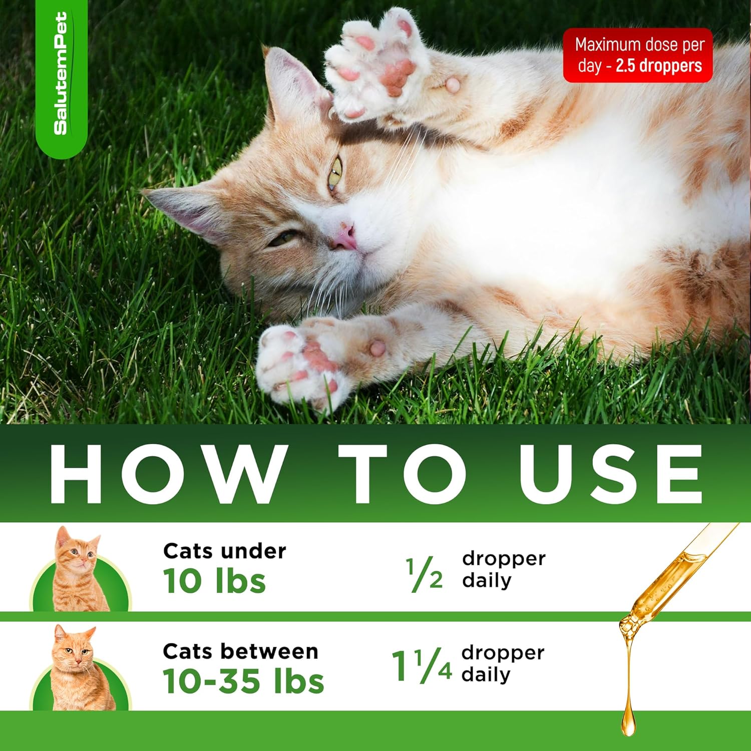 Cat_Antibiotic_for_Infections,_UTIs,_Respiratory_Moments,_Cold,_&_Allergies_|_Antibiotics_for_Cats_of_All_Ages_&_Breeds_|_Liquid_Form_|_Natural_Supplement_with_Chicken_Flavor_|_2_Oz