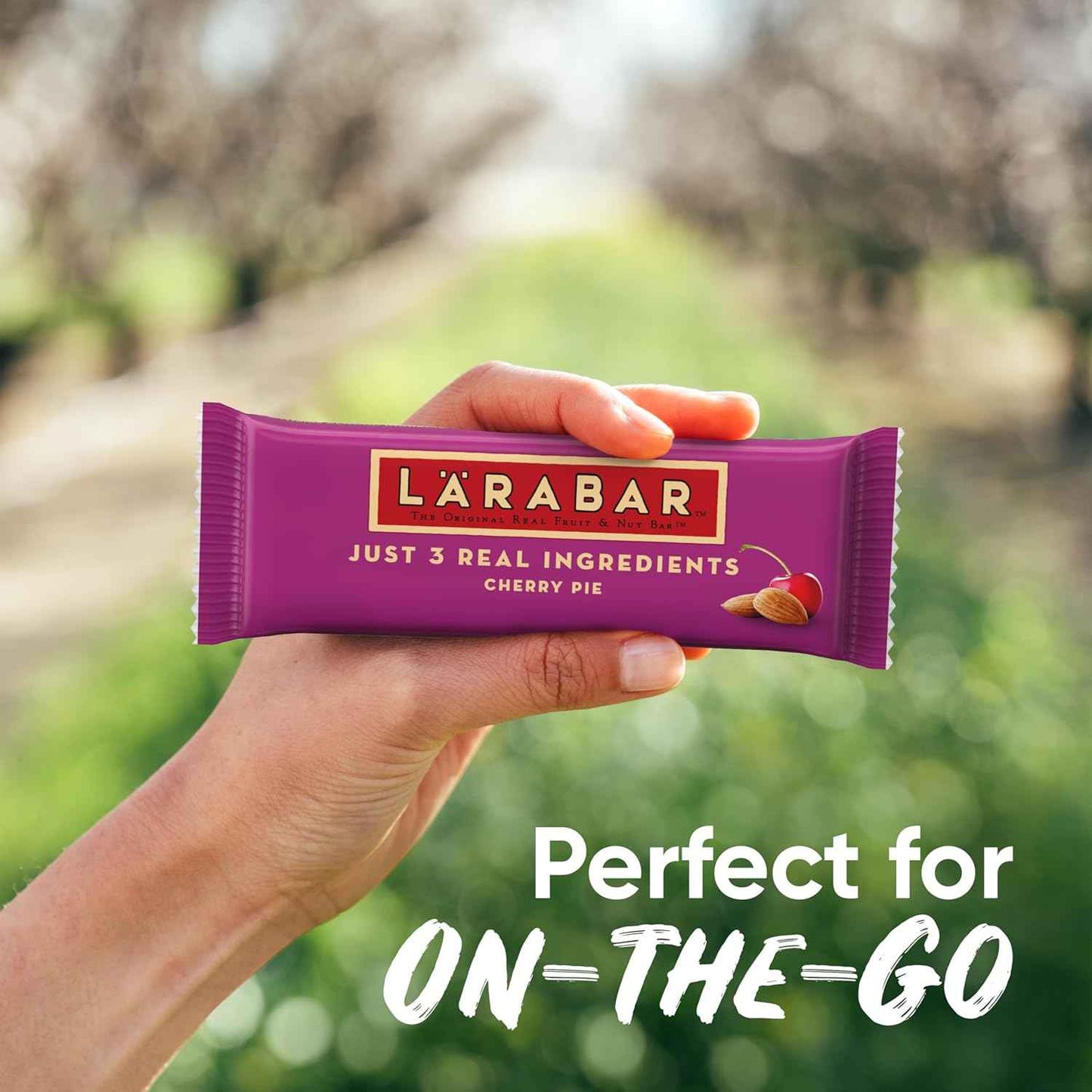 Larabar Cherry Pie Fruit and Nut Bar, Gluten Free and Vegan