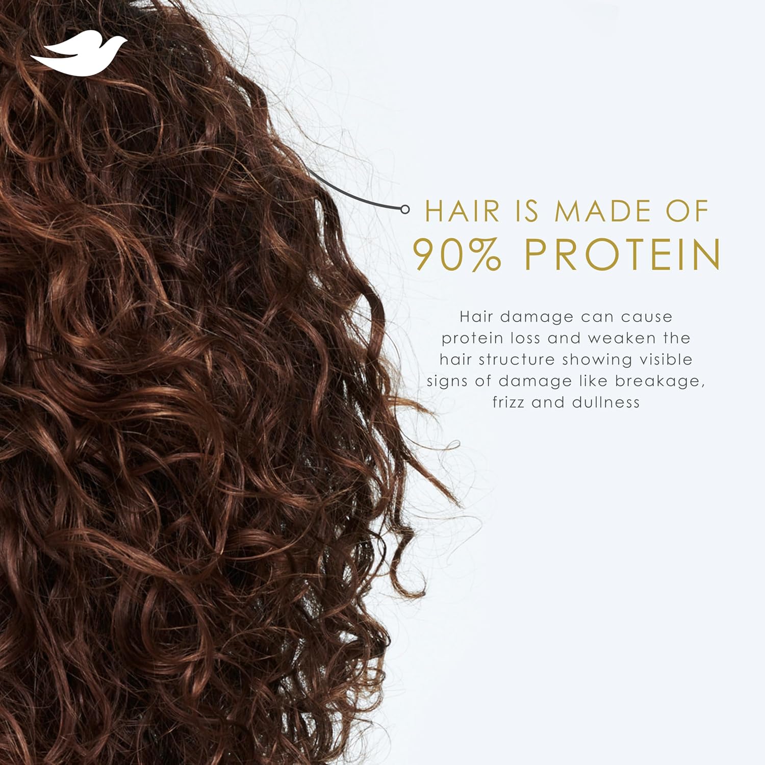 Dove_Shampoo_Argan_Oil_&_Repair_for_Fine_Hair_with_Bio-Protein_Care_Technology_and_Argan_Oil_Blend_12_Fl_Oz