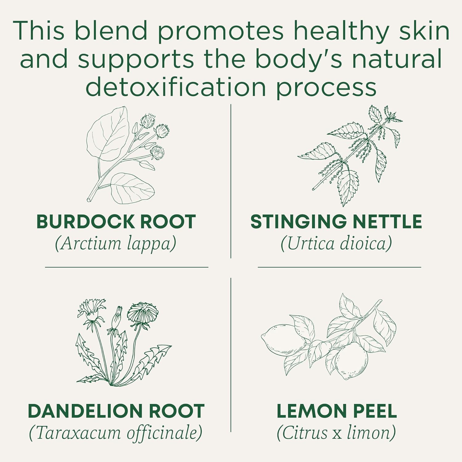 Traditional_Medicinals_Tea,_Organic_Everyday_Detox_Lemon,_Supports_Healthy_Skin_&_Liver_Function,_Detox,_16_Tea_Bags