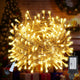 Warm White - 66FT 200LED