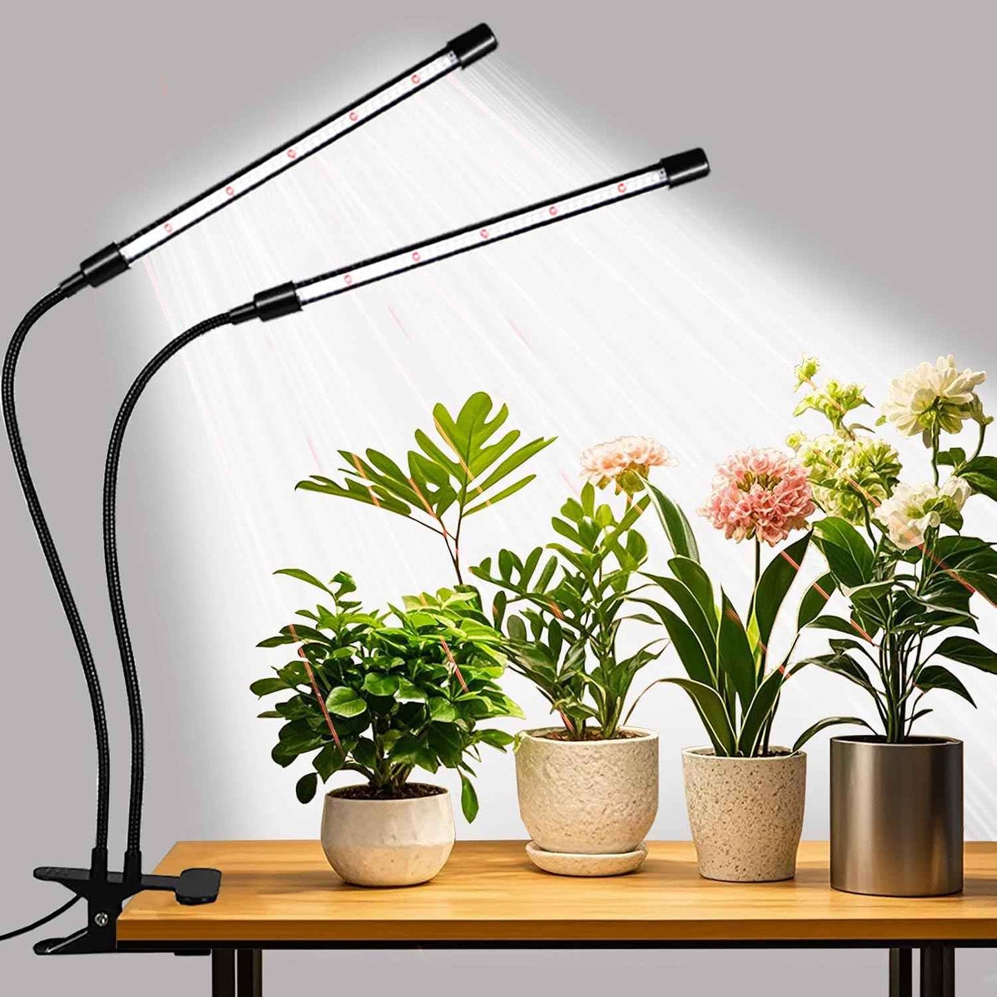 Domus Botanix Grow Light – Housewarming Gift for Plant Lovers Moving Into New Apartments