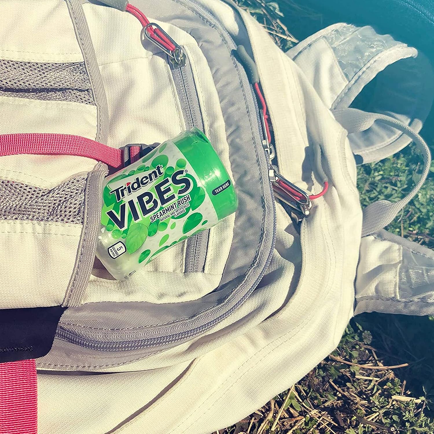 Trident_Vibes_Spearmint_Rush_Sugar-Free_Chewing_Gum,_6_Bottles_of_40_Pieces_(240_Total_Pieces)